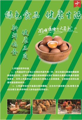 鸡蛋版面