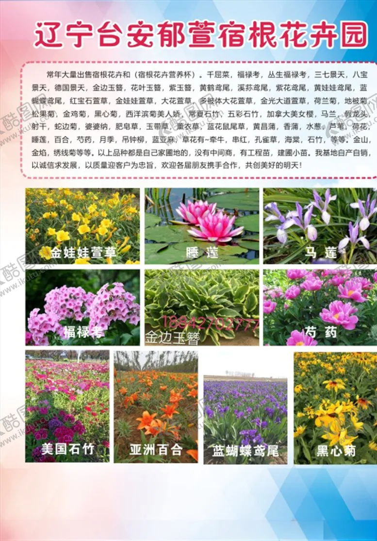 编号：15102809110407565399【酷图网】源文件下载-宣传彩页