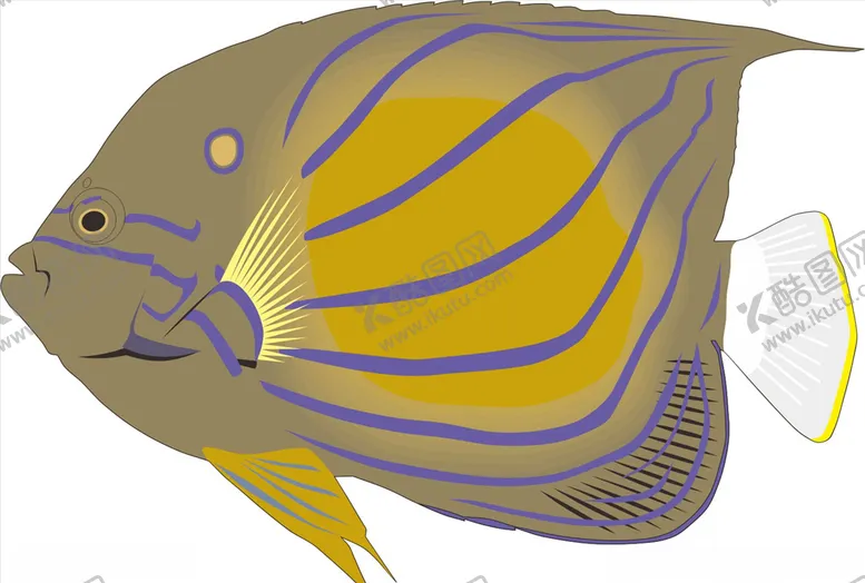 编号：89118109241733584139【酷图网】源文件下载-蓝斑鱼海洋鱼矢量手