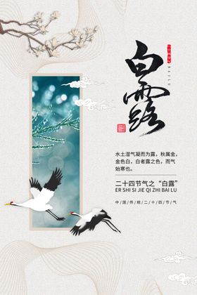 白鹭背景海报模板