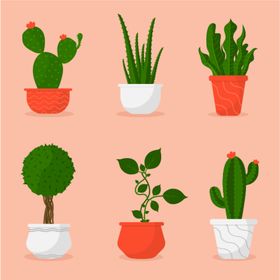 盆栽绿植插图绿色植物花卉花草