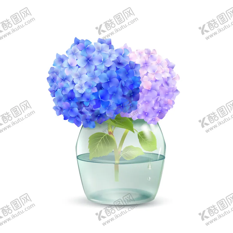 编号：23695709201834007983【酷图网】源文件下载-卡通绣球花