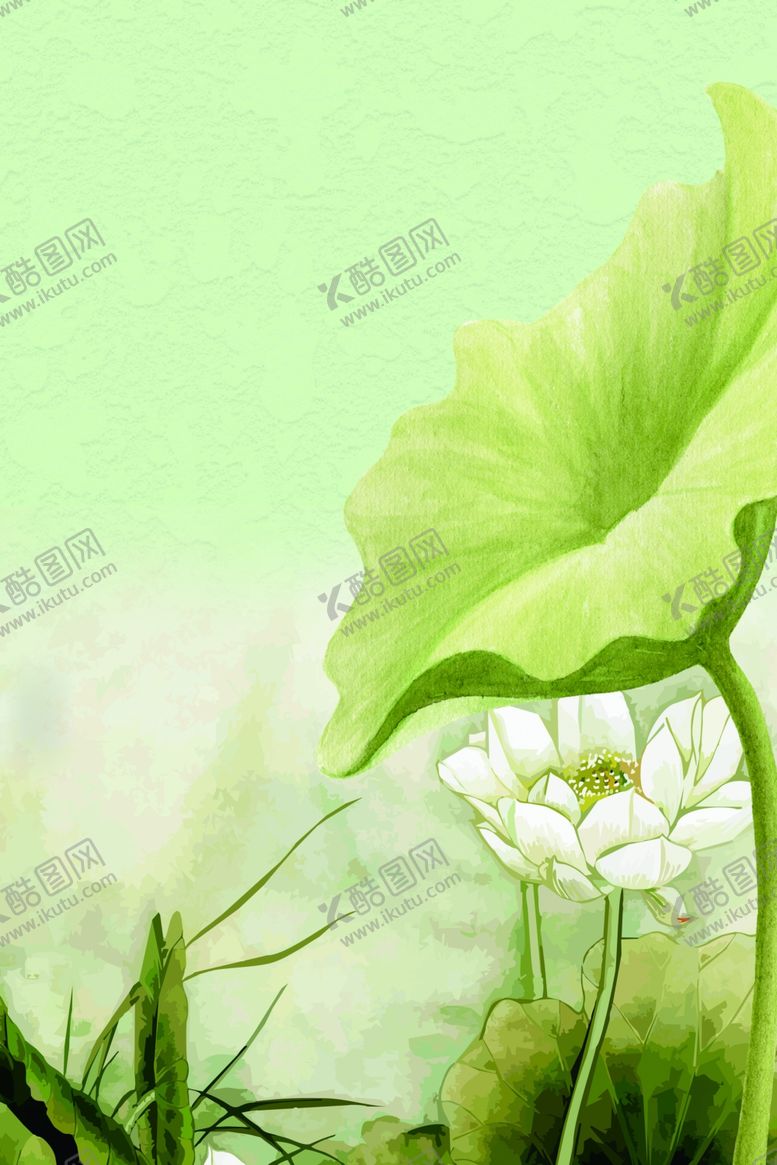 编号：53736907060716028488【酷图网】源文件下载-荷花