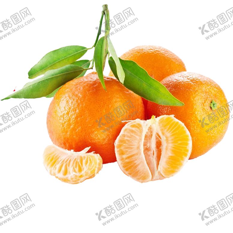 编号：22261607040010083239【酷图网】源文件下载-水果