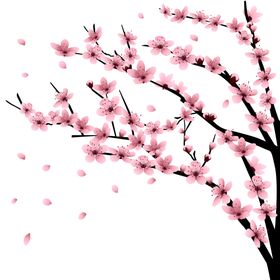 樱花创意