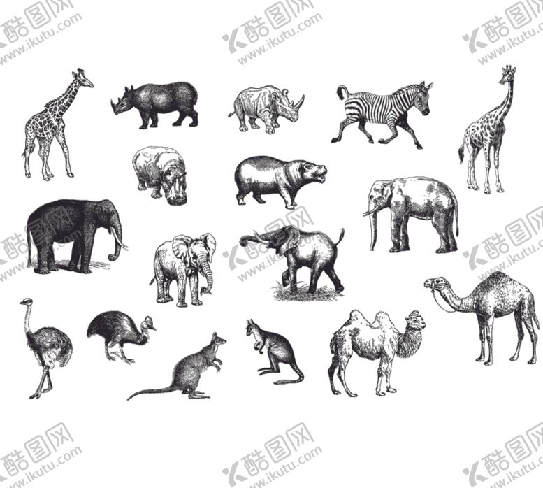 编号：29468809190340189285【酷图网】源文件下载-动物集合