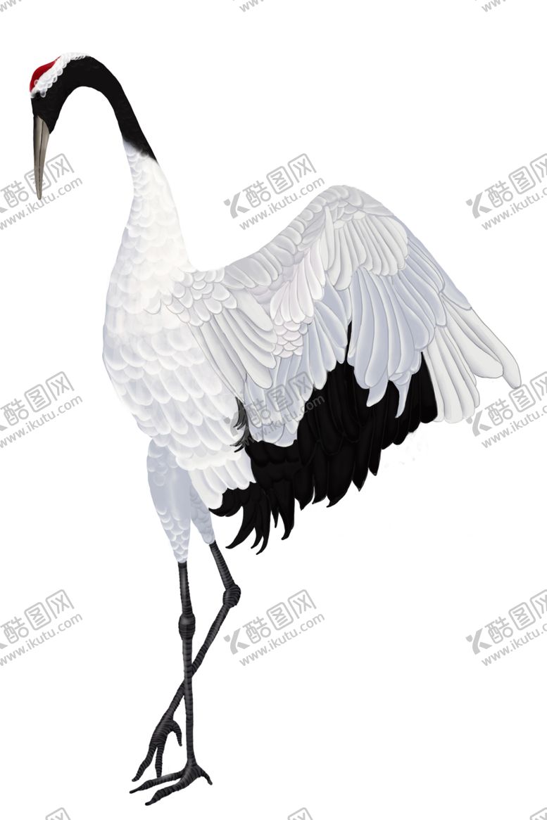 编号：60688909140653278647【酷图网】源文件下载-仙鹤素材