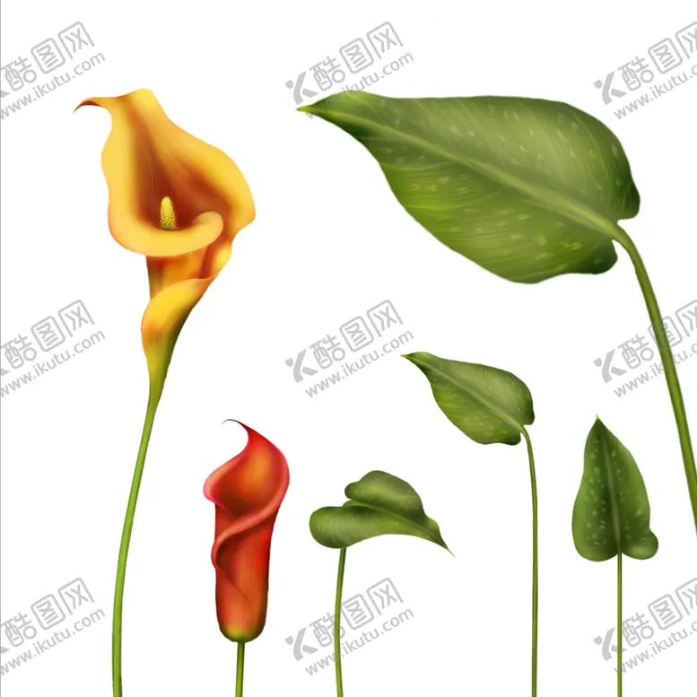 编号：25341806290455441130【酷图网】源文件下载-植物装饰画