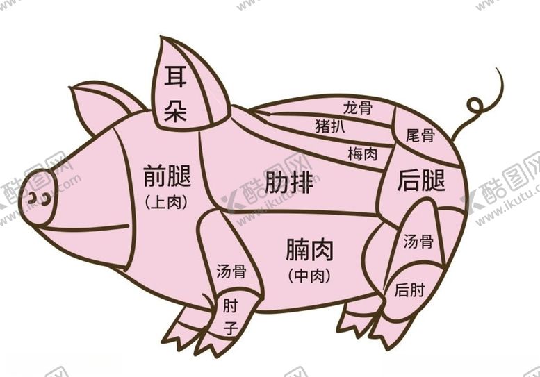 编号：73765304080349207516【酷图网】源文件下载-卡通猪肉分解图