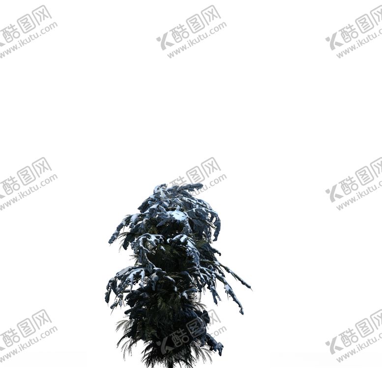 编号：52013907060336407083【酷图网】源文件下载-树木