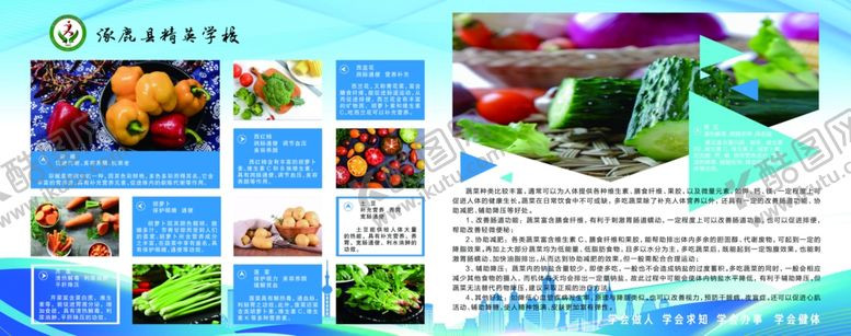 编号：37742402232030398570【酷图网】源文件下载-学校餐厅蔬菜营养价值