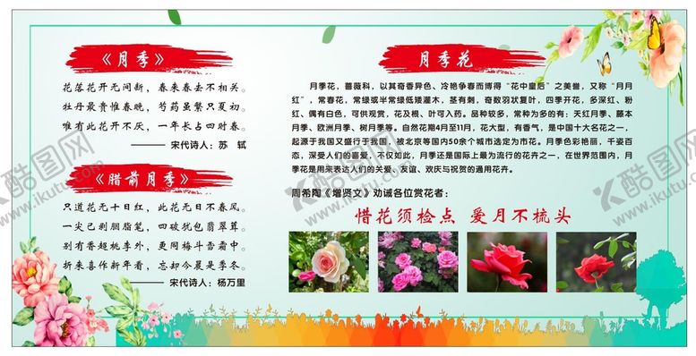 编号：86232402071204509185【酷图网】源文件下载-月季花简介 介绍