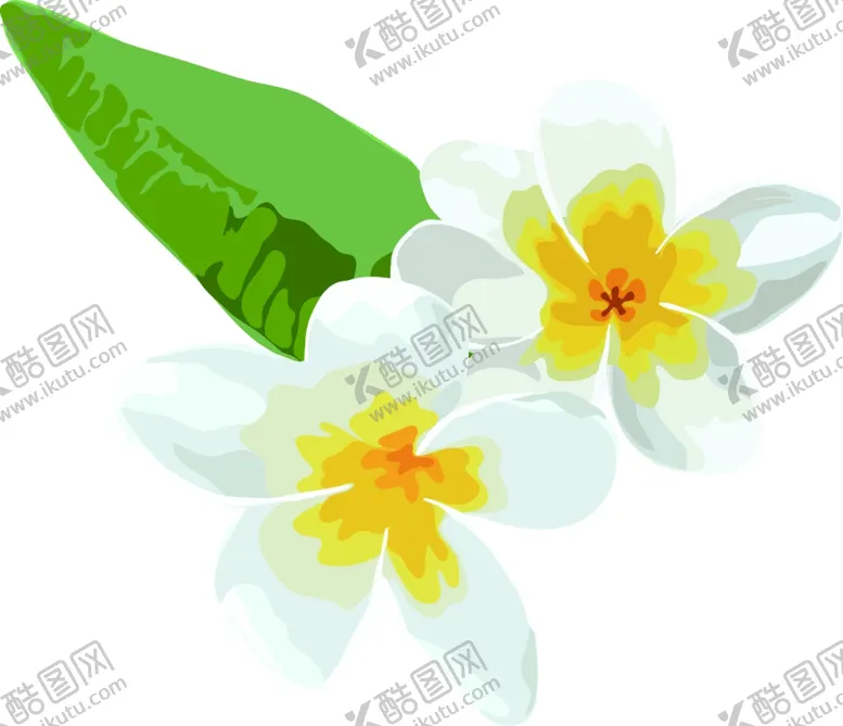 编号：62396202031944589717【酷图网】源文件下载-植物素材