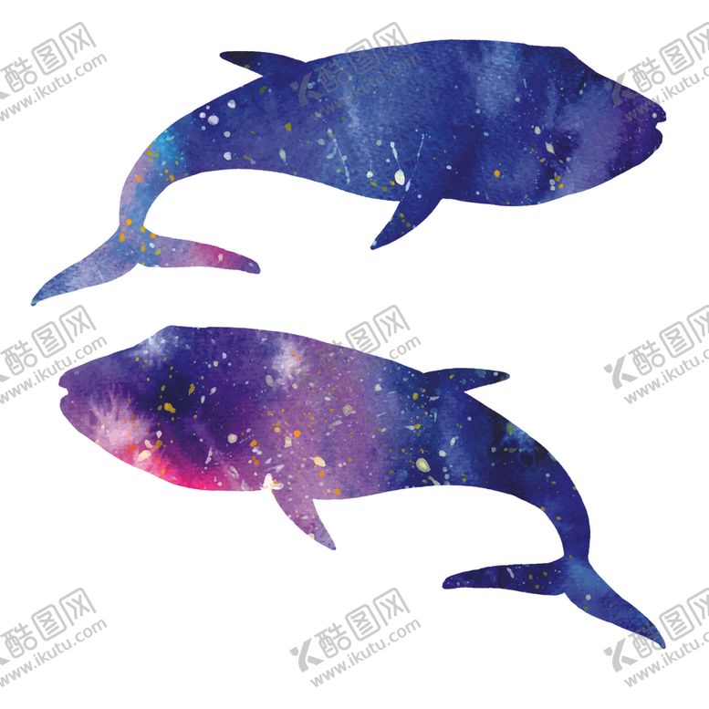 编号：81394310200042589034【酷图网】源文件下载-炫彩渐变鲸鱼图案