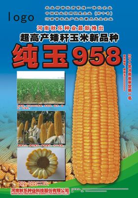 编号：71985009230031503601【酷图网】源文件下载-渐变海报