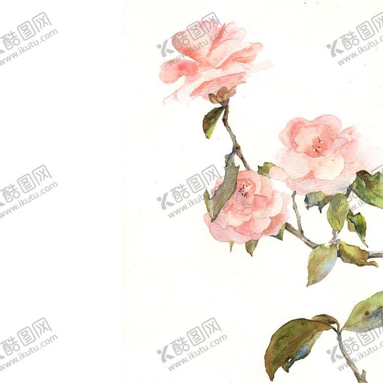 编号：77909007031158477428【酷图网】源文件下载-鲜花素材