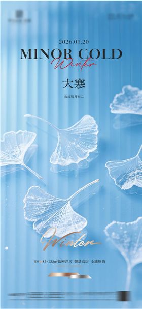 地产大寒质感节气海报