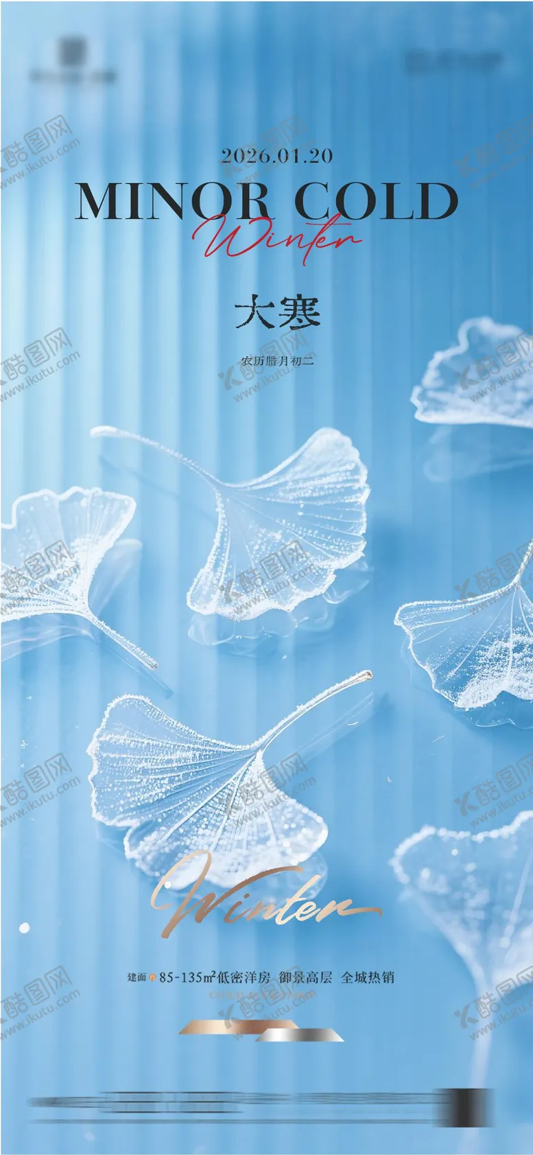 编号：89411501070210144596【酷图网】源文件下载-地产大寒质感节气海报