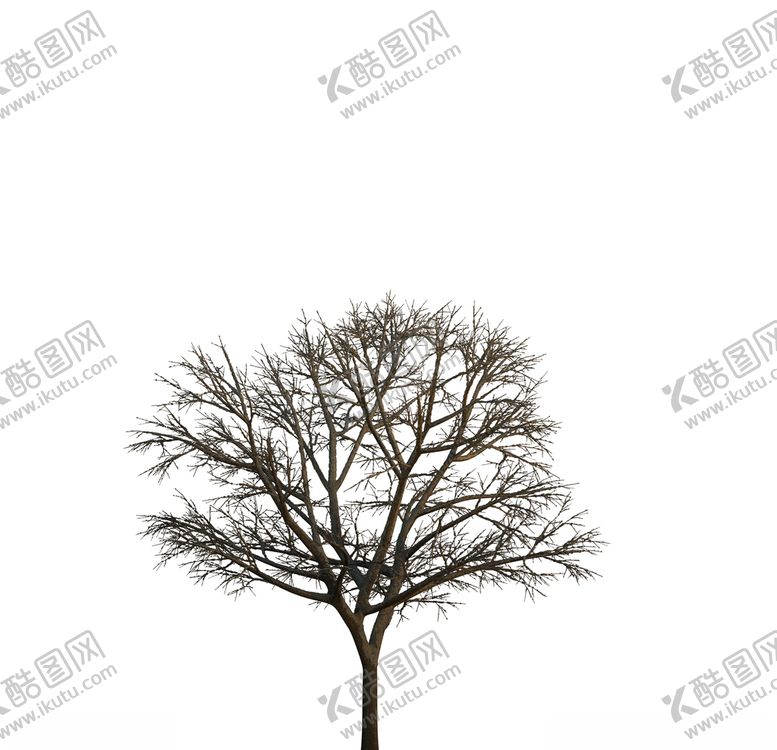 编号：92633210251454195383【酷图网】源文件下载-树木