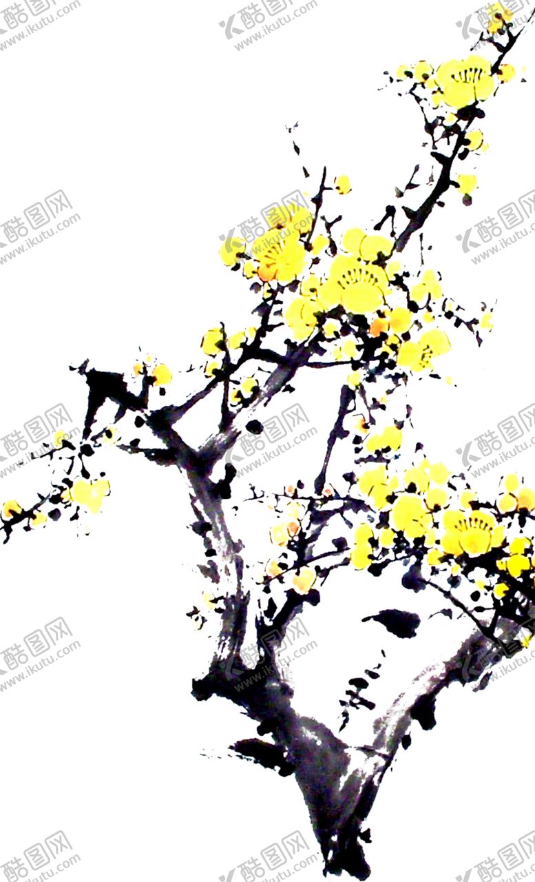 编号：95397302070014243498【酷图网】源文件下载-梅花