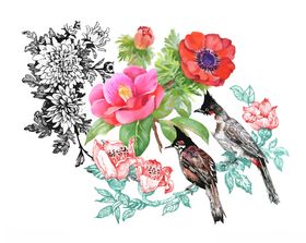 鲜花