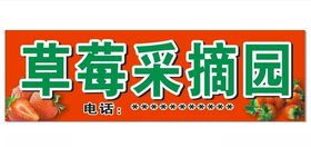 草莓采摘园