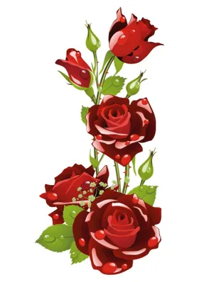 玫瑰花卡通肆
