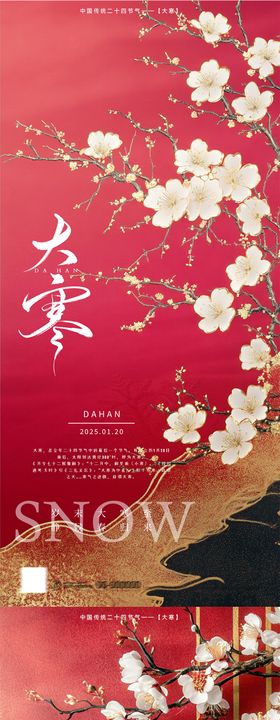 大寒节气海报二十四红金花卉