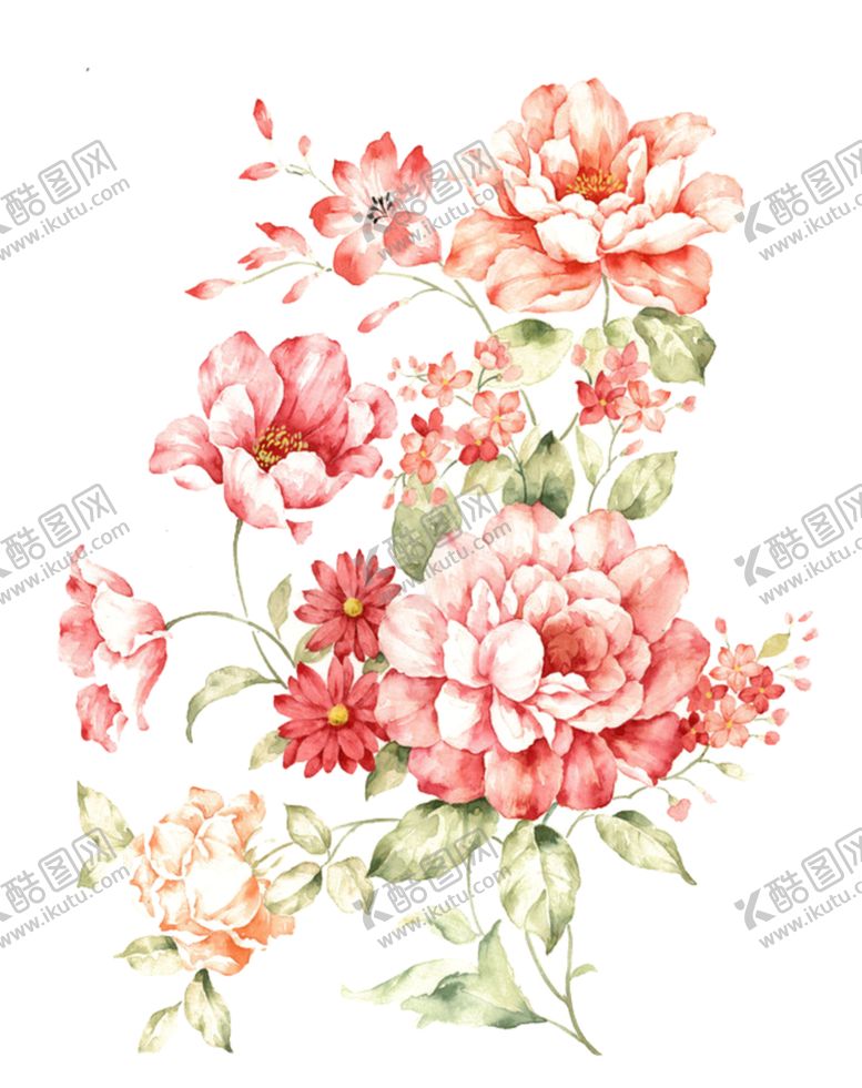 编号：13752910180040397571【酷图网】源文件下载-牡丹花