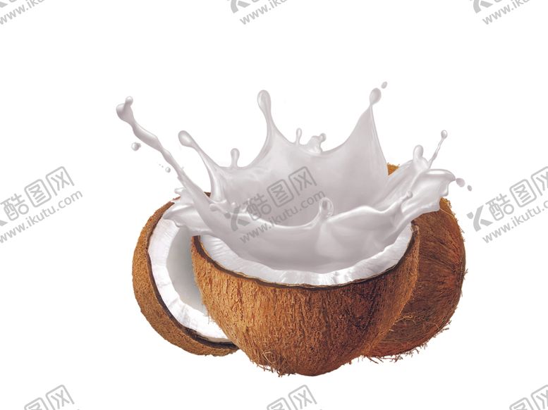 编号：12755410280144577724【酷图网】源文件下载-椰子