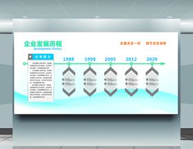 企业发展历程