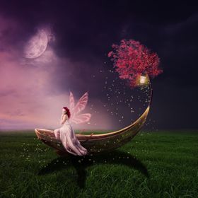 夜光