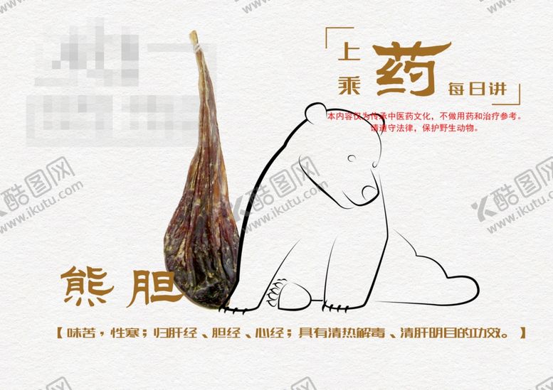 编号：49225805081728072444【酷图网】源文件下载-熊胆