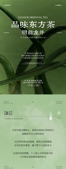 茶叶推文海报