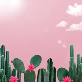 夏日背景