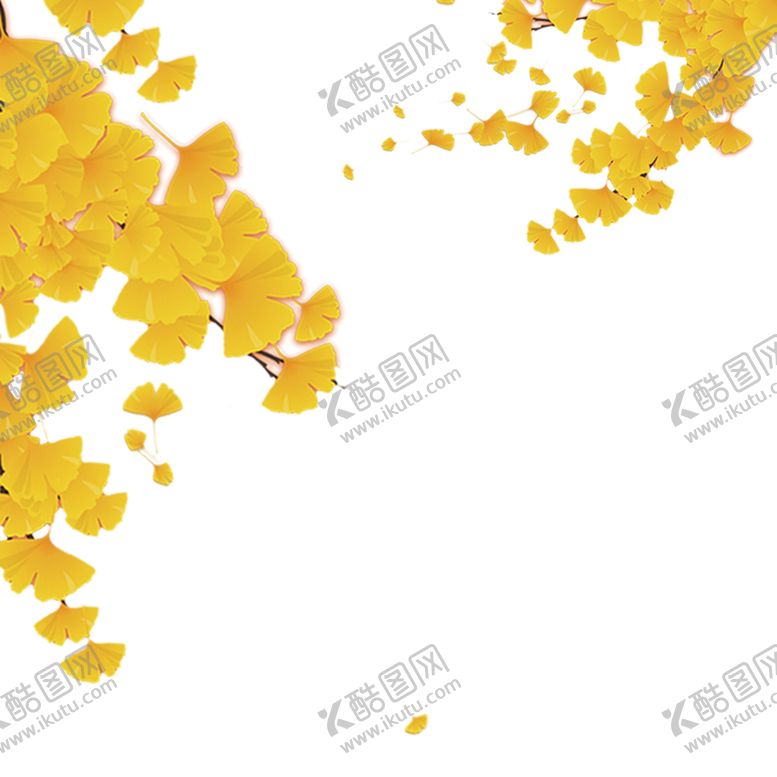 编号：78155010240415149717【酷图网】源文件下载-秋天银杏叶