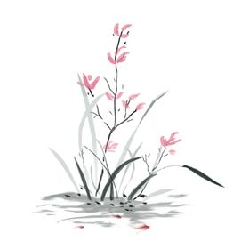 兰花元素