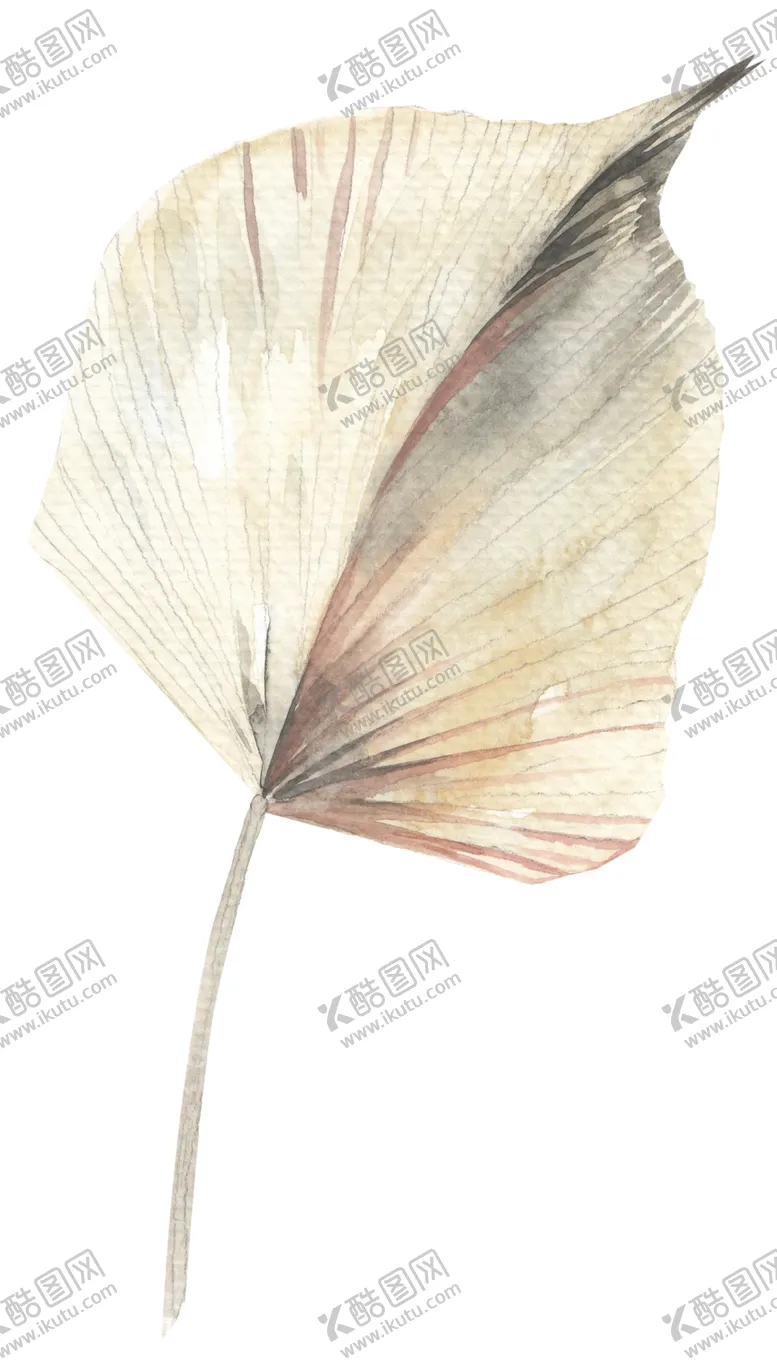 编号：72825406261732034336【酷图网】源文件下载-北欧小清新水彩植物图案