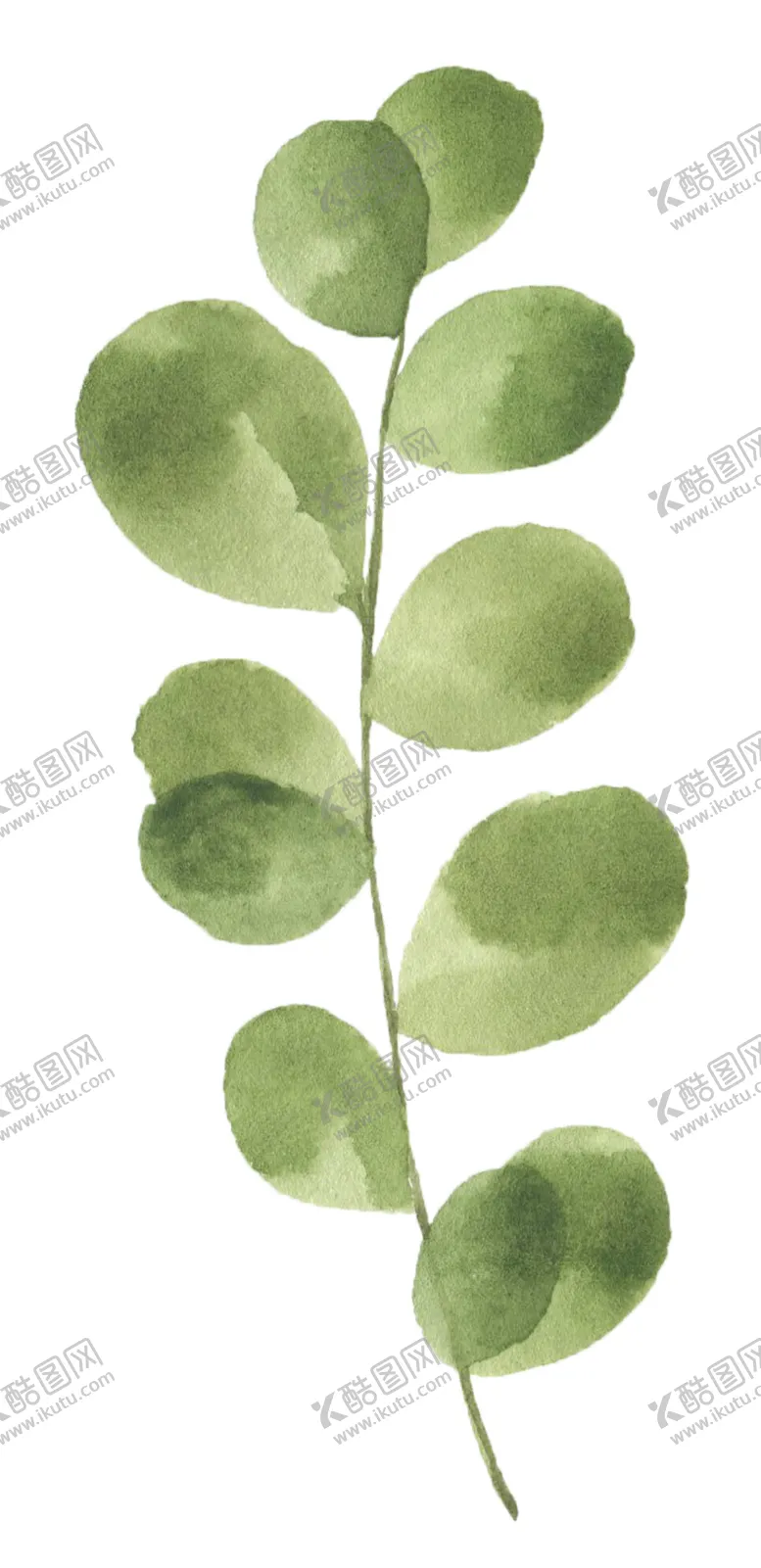 编号：61617406232105318767【酷图网】源文件下载-手绘植物花卉