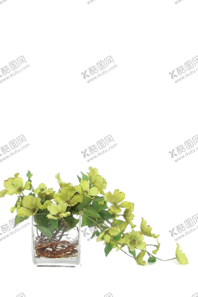 编号：87605607061850402192【酷图网】源文件下载-免抠背景花草树木