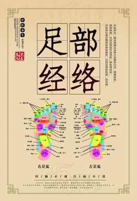 足部经络图  