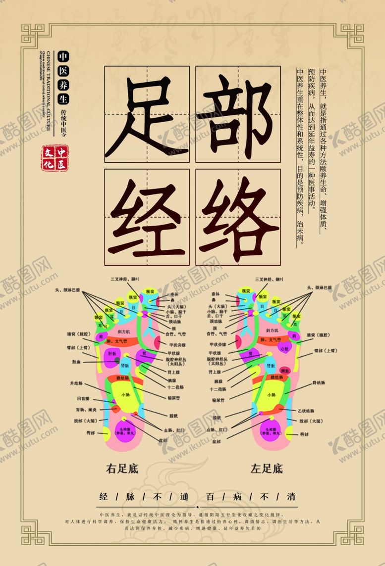 编号：97824407141711091573【酷图网】源文件下载-足部经络中医海报