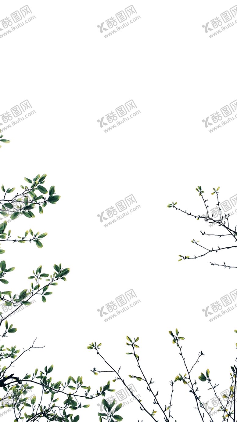 编号：80758009290154368560【酷图网】源文件下载-绿色相框