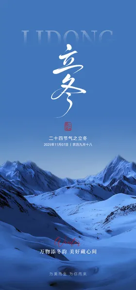 节气海报大气简约医美海报