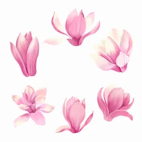 水彩花卉高清边叶子清新