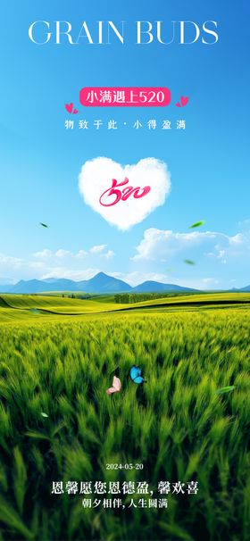 小满520海报情人节公历节日麦穗