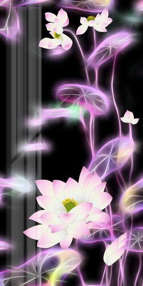 抽象荷花