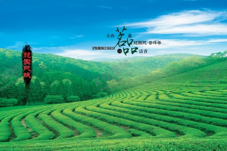 编号：28380109261946055513【酷图网】源文件下载-茗茶宣传画册内页图三