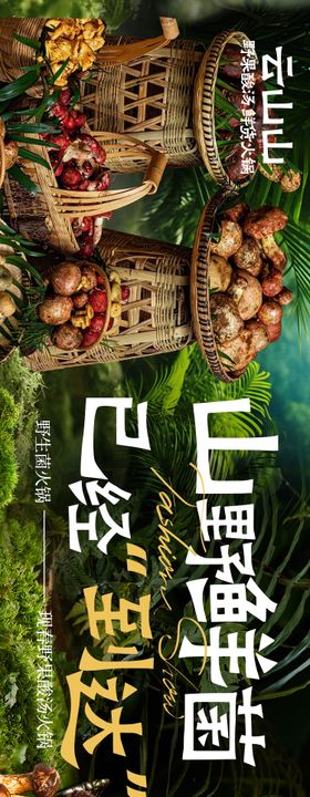 山野菜野生菌五连图