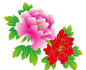 牡丹花上壹